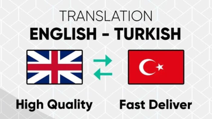 profesyonel İngilizce-Türkçe çeviri yaparım