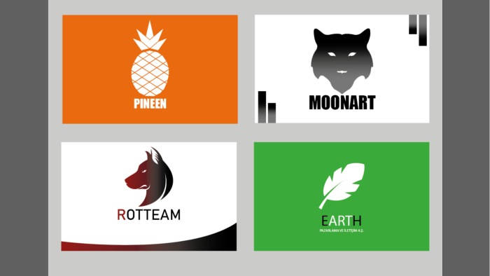 logo tasarım alanında firmanıza özgün tasarımlar yaparım