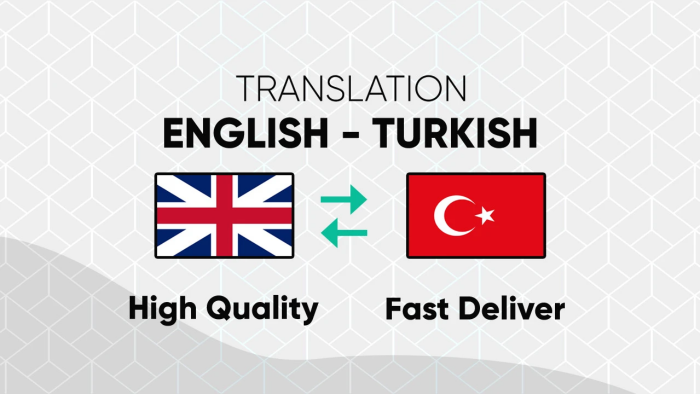 metninizi profesyonel bir şekilde çevirebilirim