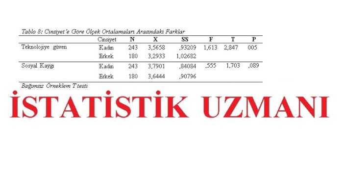 SPSS ile verilerinizi analiz eder apa formatlı rapor sunarım