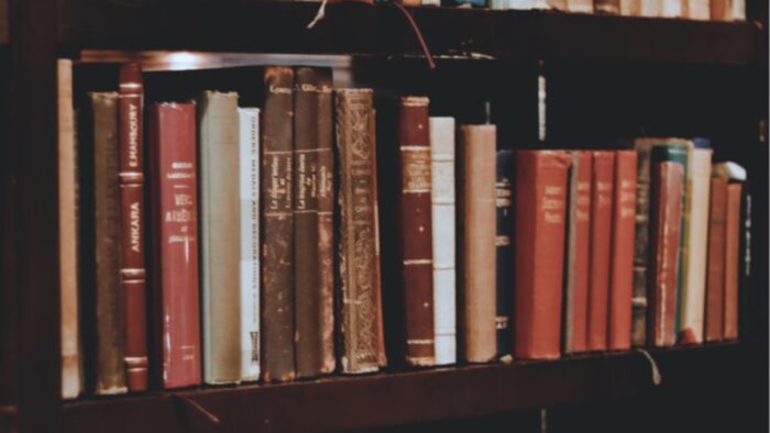 kitap, roman ve makale analizi yapabilirim