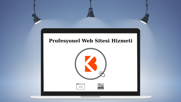 sizler için profesyonel web sitesi yapıyorum