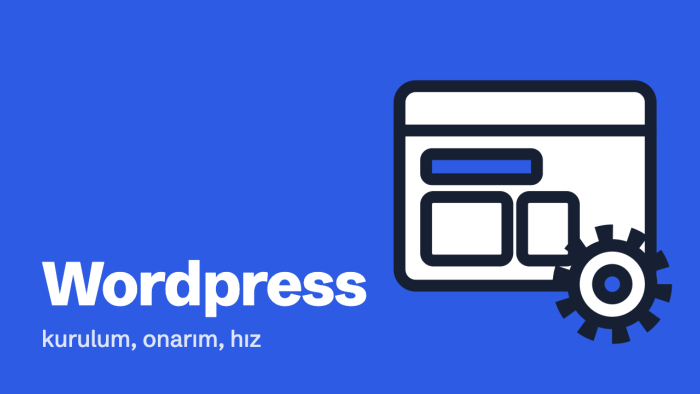 Wordpress sitenizi kurar, onarır ve hızlandırırım