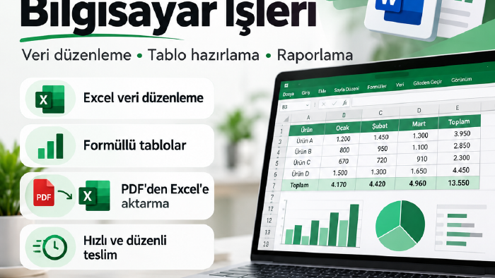  Excel veri düzenleme ve raporlama işleri yaparım