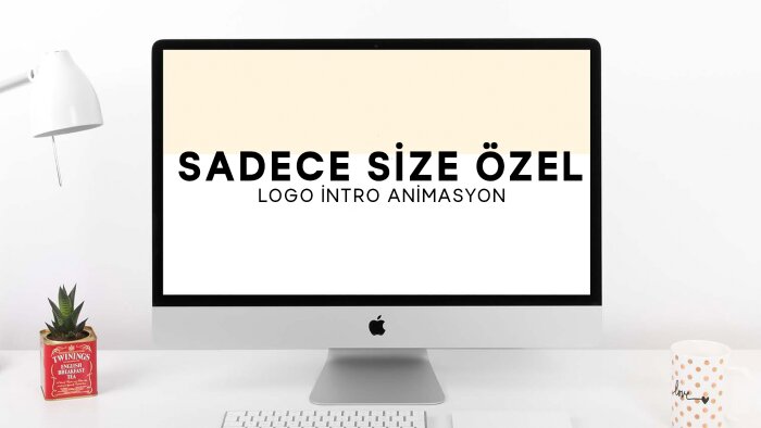 logonuza özel 2D intro animasyon yapabilirim