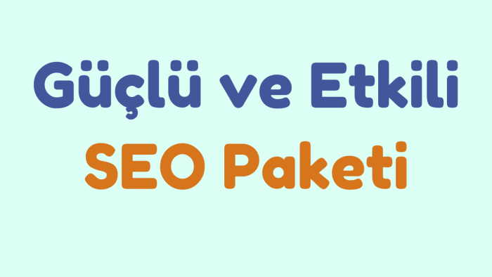 sonuç odaklı seo hizmeti veririm
