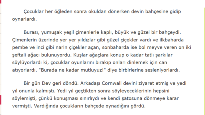 profesyonel Türkçe İngilizce çeviri yaparım