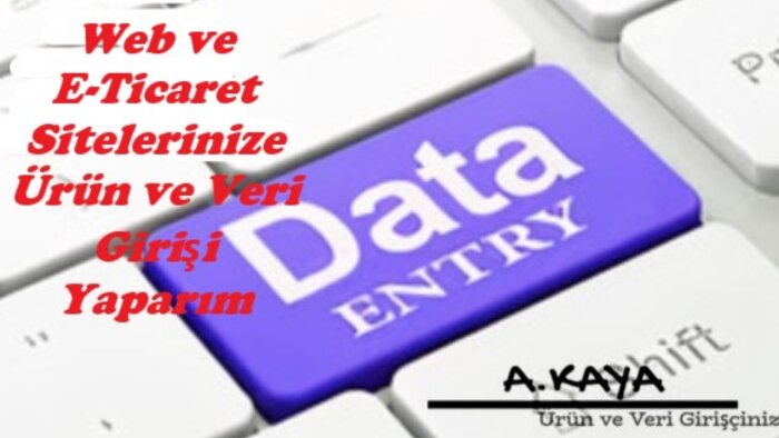 ürün ve veri girişi yaparım