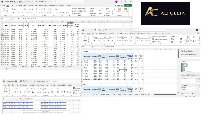 excel, pivot, düzenleme, grafik, raporlama yapıyorum