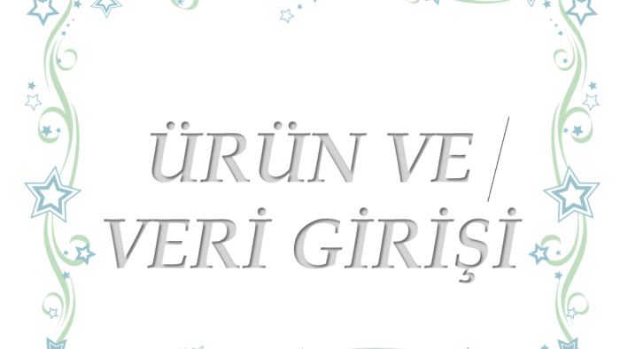veri girişlerinizi yapabilirim