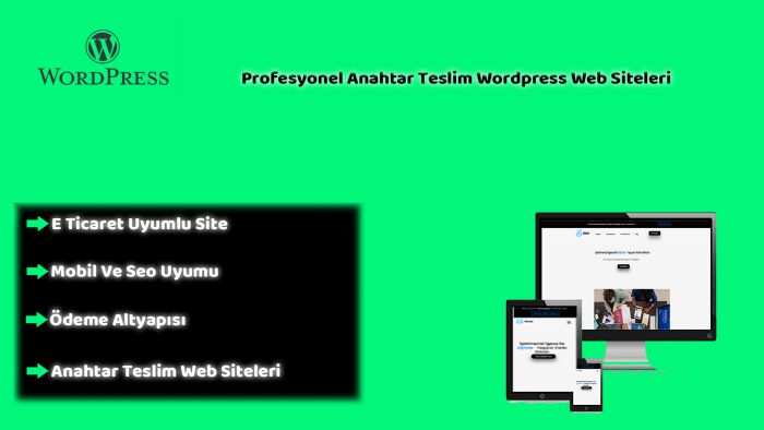 isteğinize uygun profesyonel web siteleri tasarlayabilirim