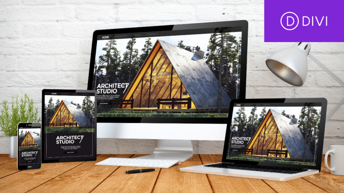 anahtar teslim web sitesi yapıyorum