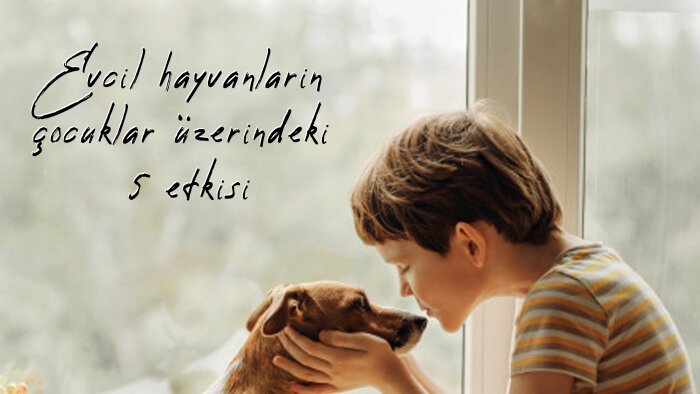 sosyal medya hesaplarınız için haftalık post hazırlarım