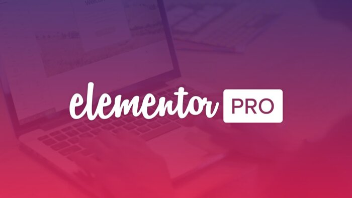 Elementor Pro eklentisi kurabilirim