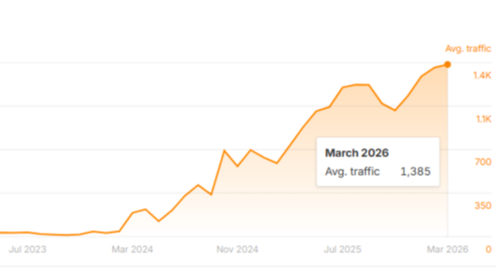 web sitenizde düzenli SEO çalışma sürecini yönetebilirim