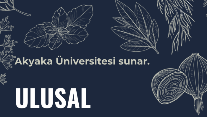 kurumsal katalog ve broşür tasarımı yapıyorum