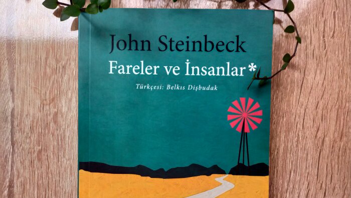 dizi,film,belgesel incelemesi yapabilirim