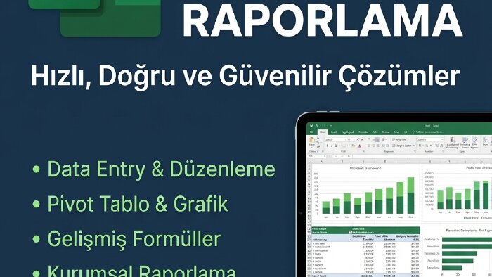 ileri düzey Excel ve veri işleme desteği sunarım