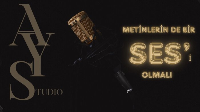 profesyonel seslendirme yaparım