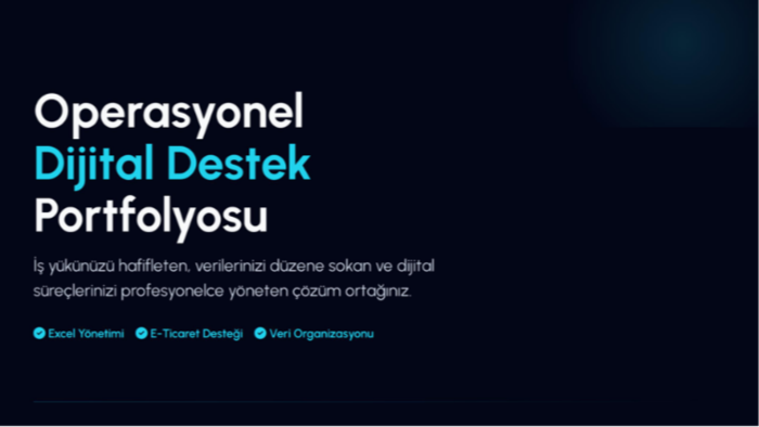 profesyonel Excel veri girişi ve operasyonel destek veririm