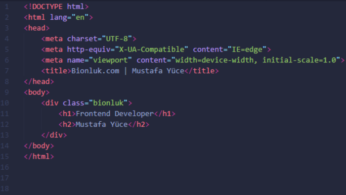 sitenizin seo responsive uyumlu frontend kodlamasını yaparım