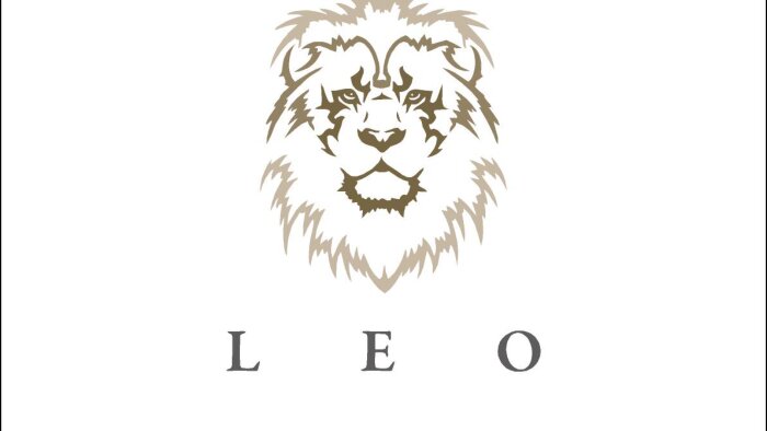 minimal logo tasarlarım