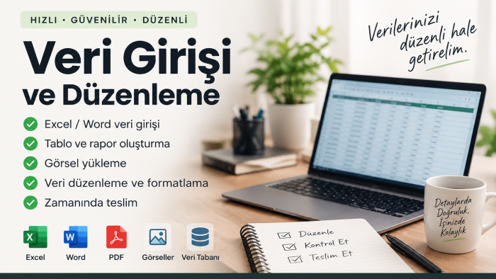 Excel, web sitesi ve sistemlerinize veri girişi yaparım