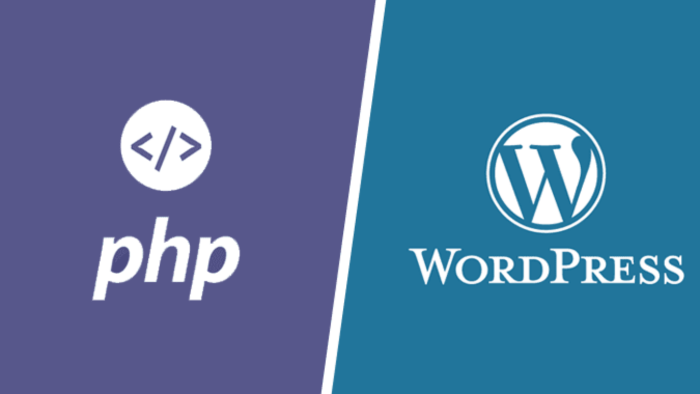 wordpress ve php sitenizdeki hataları bulup çözerim