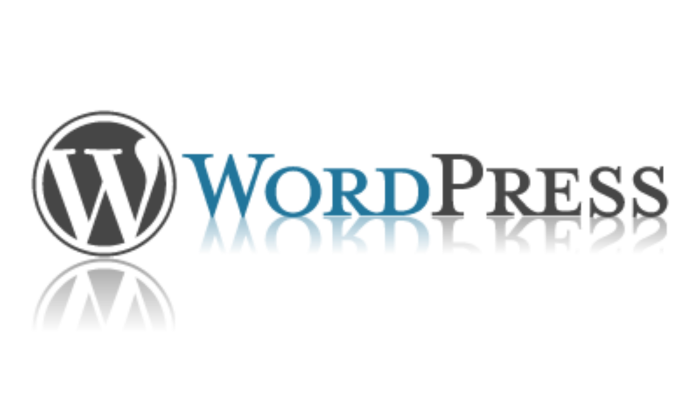 Wordpress ile anahtar teslim proje yapıyorum