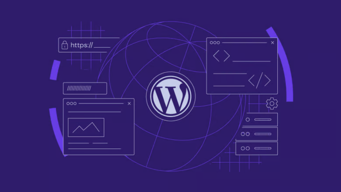 wordPress sitenizi profesyonel şekilde kurar geliştiririm