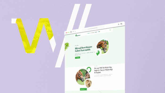 profesyonel web sitesi yaparım