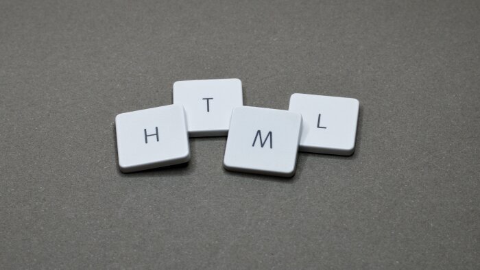 sizin için panelsiz bir web sitesi yapabilirim