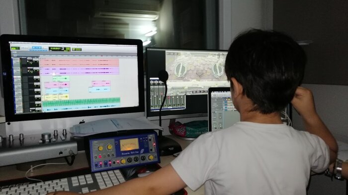 ses temizliği, ses tasarımı ve müzik düzenlemesi yaparım