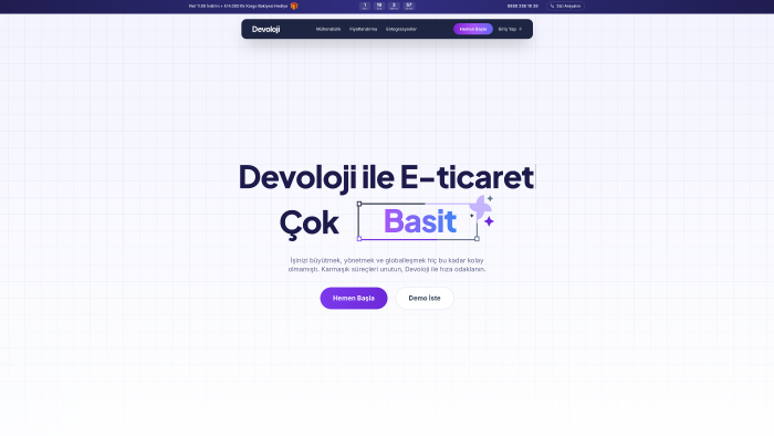 hem site kurup hem de satış getiren sistem kuruyorum