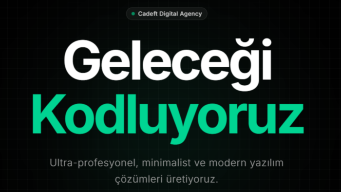 Web sitesi yapıyorum