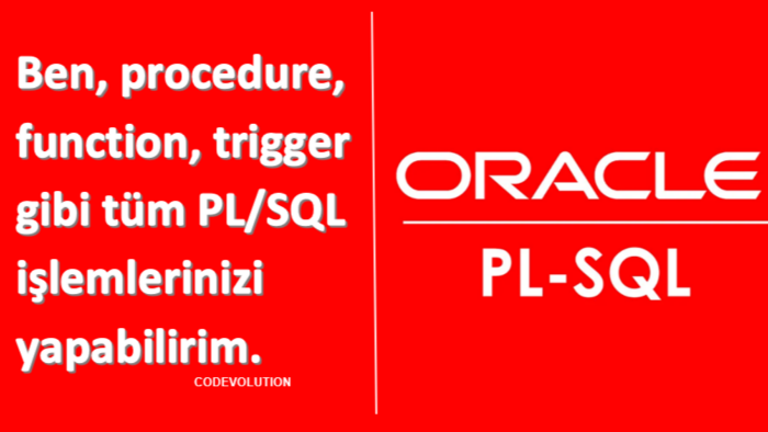 Oracle veritabanı üzerinde PL/SQL ile kod yazarım