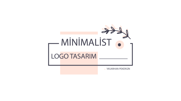 profesyonel bir şekilde minimalist logo tasarımı yapıyorum