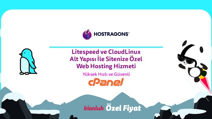 yüksek hızlı ve performanslı hosting hizmeti sağlarım