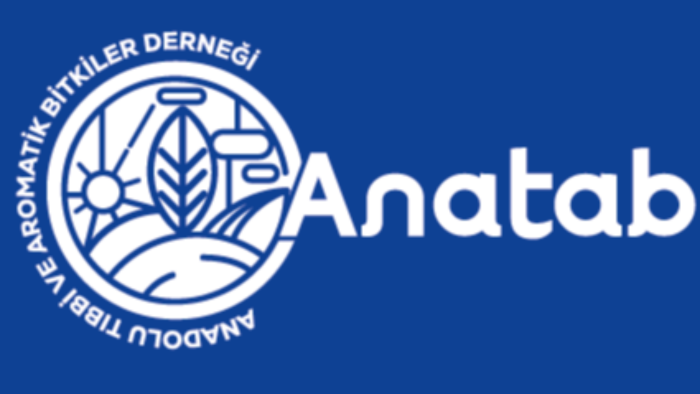 size ve işinize uygun sade ve şık bir logo tasarlayabilirim