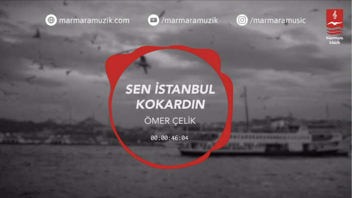 şık videolarla hizmetinizi etkileyici hale getirebilirim