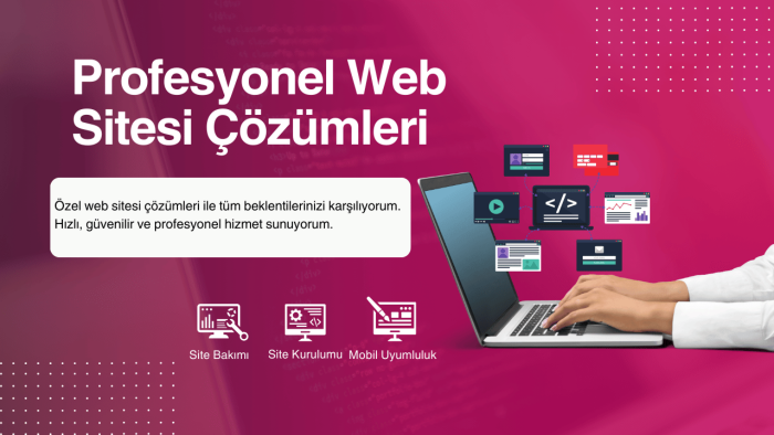 sıfırdan profesyonel WordPress sitesi kurarım