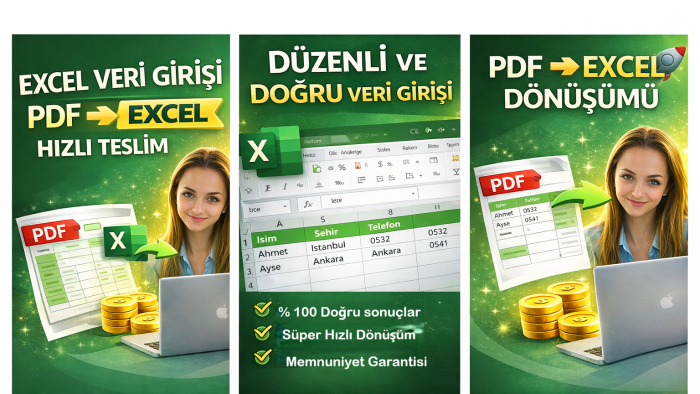 Excel veri girişi ve PDF’den Excel’e veri aktarımı yaparım