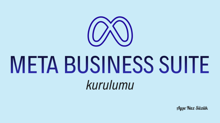  markanız için Meta kurulumunu yaparım