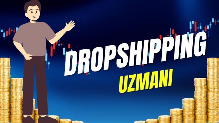 Shopify ile profesyonel mağaza oluşturabilirim