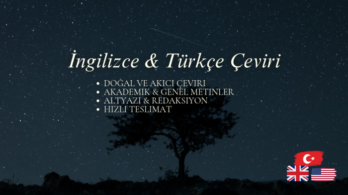 profesyonel İngilizce ve Türkçe çeviri yaparım