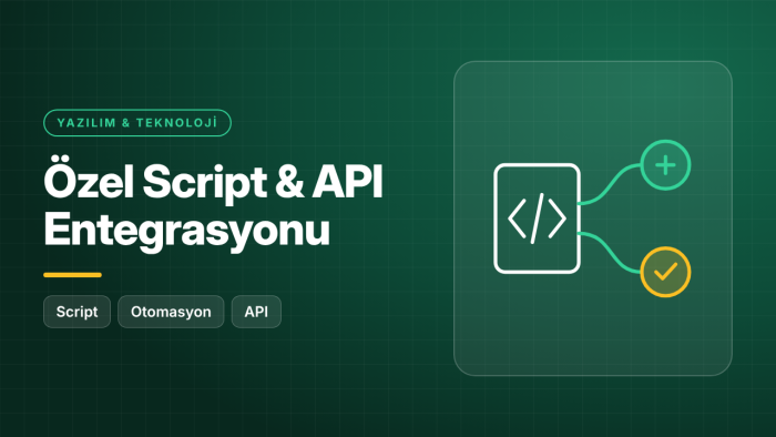 ihtiyacınıza özel script yazar ve API entegrasyonu yaparım