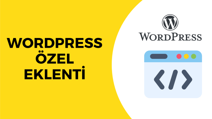 isteğinize uygun wordpress eklentisi yazabilirim