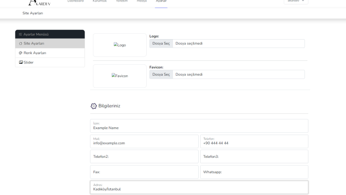 isteklerinize uygun admin panel+websitesi yaparım