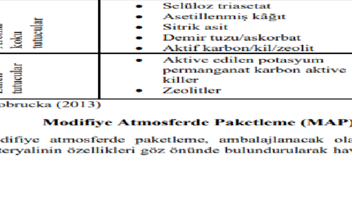 siten ya da blog sayfan için çeşitli yazılar yazabilirim
