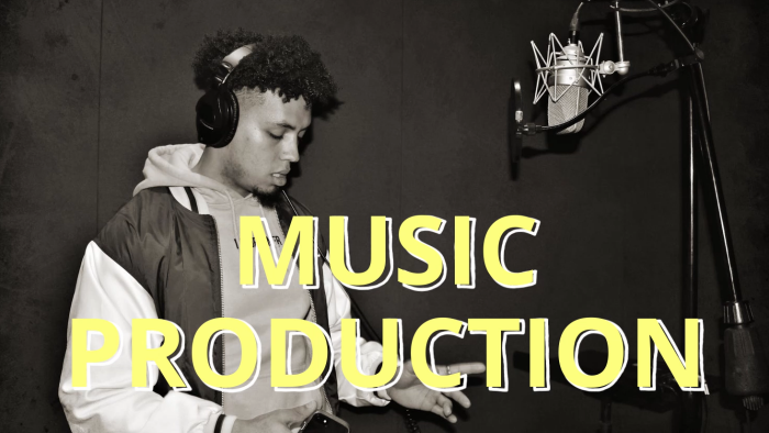 istediğiniz Hip-Hop, Drill, Pop-R&B beatlerinizi yapabilrim